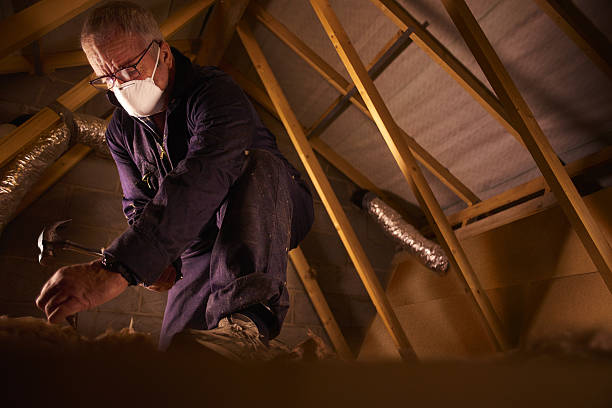 Types of Insulation We Offer in Chester Heights, PA