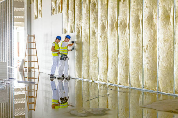 Professional Insulation Contractor in Chester Heights, PA